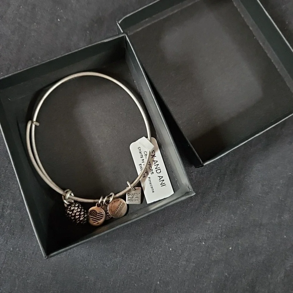 Alex and Ani Pine Cone Charm Bracelet NIB Silver Expandable Bangle